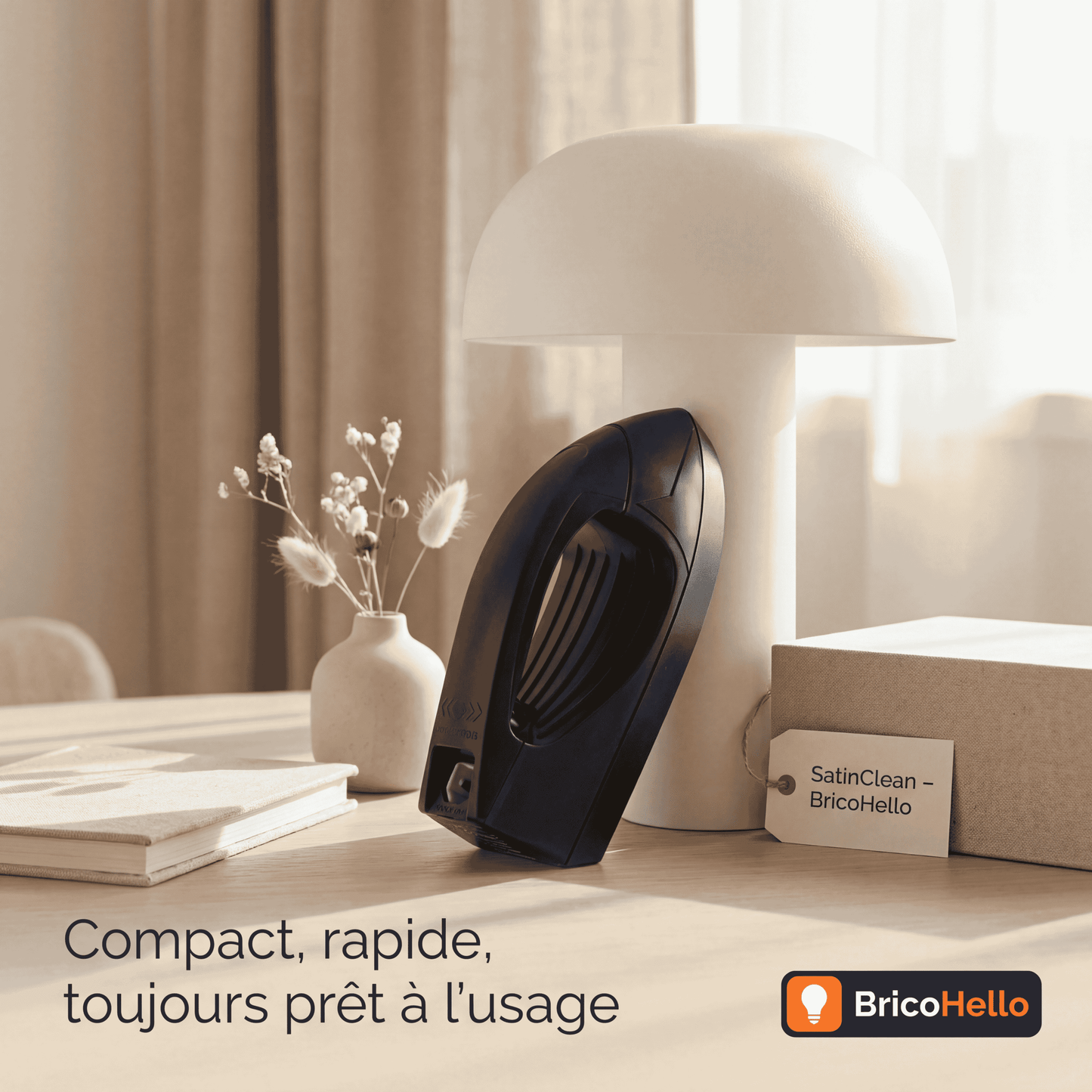 Fer à repasser révolutionnaire